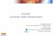EUDAT Common data infrastructure - Cineca · experimentalists (brain images etc) start believing it • lots of relationships (organization, content, provenance, etc.) to be stored
