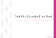 Total RNA Extraction From Blood - KSU · •To isolate pure and intact total RNA from Rat blood using RNeasy Mini Kit. Principle: •In general, Lysing and denaturing cells to liberate