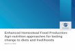 Enhanced Homestead Food Production: Agri …...•A homestead food production intervention aimed at: – Reducing stunting and improving household nutrition – Increasing household