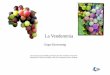 La Vendemmia - Co.As.It · La Vendemmia Grape Harvesting . La Vendemmia Grape picking. Vinaccia Grape skins after pressing . Torchio per l’uva Wine press . La Vendemmia Stanthorpe