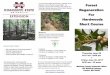 Forest Regeneration For Hardwoods Short Course › forestry_extension › pdf › canton_062917.pdfregeneration and is designed to instruct the attendees in site preparation, artificial