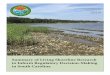Summary of Living Shoreline Research to Inform Regulatory ... · proximately 2 ft (0.6 m) long, 8 in (20.3 cm) wide, and 8 in (20.3 cm) tall (Figure 3.3). Under current SCDNR regulations,