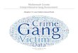 Multnomah County Comprehensive Gang . Multnomah Co Gang...آ  Multnomah County Comprehensive Gang Assessment