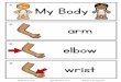 My Body - prekinders.com€¦ · Body Part Cards ©PreKinders.com ©Clipart by Educlips toes shoulders stomach neck . gg00g'2» Created Date: 20160824012937Z 