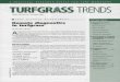 A PRACTICAL RESEARCH DIGEST FOR TURF MANAGERS TURFGRASS …archive.lib.msu.edu › tic › tgtre › article › 2001nov1a.pdf · the College's Plant Pathology Department & Office