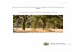 Tree Canopy Report - Draft - smcgov.org...In her landmark book “Tending the Wild: Native American Knowledge and the Management of California’s Natural Resources ,” culture historian