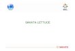SDA Lettuce June 2012x - McDonalds Seeds › ... › 2015 › 12 › SAKATA-LETTUCE.pdf · Microsoft Word - SDA Lettuce_June 2012x Author: jacpre Created Date: 11/28/2014 8:46:19