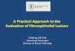 A Practical Approach to the Evaluation of Fibroepithelial Lesions · A Practical Approach to the Evaluation of Fibroepithelial Lesions . Edi Brogi MD PhD . Attending Pathologist 