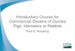 Introductory Course for Commercial Dealers of Guinea Pigs ... · Space Requirements: Rabbits (After Aug 15, 1990) Each Weaned Rabbit by Weight Minimum Space per Rabbit Minimum Interior