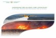 CANADIAN WILDLAND FIRE STRATEGYcfs.nrcan.gc.ca › pubwarehouse › pdfs › 37108.pdf · 2016-07-28 · marked progress on, prevention, mitigation and preparedness. In 2005, the