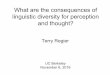 What are the consequences of linguistic diversity for perception … · What are the consequences of linguistic diversity for perception and thought? UC Berkeley November 6, 2018