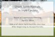 Short Term Rentals in Inyo County...2019/04/09  · Short Term Rentals in Inyo County Board of Supervisors Meeting April 9, 2019 Status of Short Term Rentals, One Year After Beginning