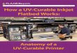 Nicholas Hellmuth October 2009 How a UV-Curable ... this hybrid UV-curing flatbed printer. Anatomy of