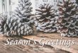 Season’s Greetings - Institute of Water...Season’s Greetings From the Institute of Water, Welsh Area Thank you for your continued support throughout 2018. We’d like to take this