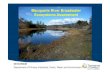 Macquarie River Broadwater Ecosystems Assessmentdpipwe.tas.gov.au/Documents/Forum June 2010_Macquarie...¾DPIW (2009) Macquarie River Broadwater Ecosystems Assessment. Report No. WA