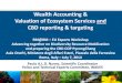Wealth Accounting & Valuation of Ecosystem Services and ... · Wealth Accounting & Valuation of Ecosystem Services and CBD reporting & targeting RM@RM – EU Experts Workshop Advancing