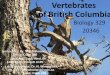 Vertebrates of British Columbia - University of Victoria · 2020-06-09 · Vertebrates of British Columbia Biology 329 20346 • Instructor: Dr. T. E. Reimchen, Office: Cunn 056 •
