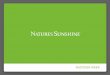 Mastering Promotions - Nature's Sunshine Products€¦ · Mastering Promotions Pat Adams Regional Manager Scotts Valley, CA . A recording of this webinar will be available at A phone