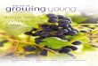 March/april 2013 Grape Seed and Pine Bark Extracts...growingyoung March/april 2013 the art of ® Grape Seed and Pine Bark Extracts Benefits of Biking pa GE 6 Discoveries in Aging pa
