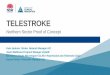 TELESTROKE › __data › assets › pdf_file › ...Acute Stroke Unit Stroke service Inequities of access Population changes Thrombolysis Rates NSW 11% 2017 NSW: Estimate activity