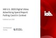 IAB U.S. 2020 Digital Video Advertising Spend Report ......Involved in Digital Video Advertising decision-making (categories noted); $1M+ Ad Spend. ... Audience Delivery (demo or other