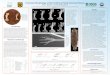 Functional Morphology of the Forelimb of North American …coordination and assistance of the NHRE program, Rilla McKeegan for aesthetic guidance and proofreading, and Ian Ocampo for