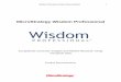 MicroStrategy Wisdom Professional - Managementbase › MB › mSt › WisdomProfessional… · I. Overview MicroStrategy Wisdom Professional (Wisdom) is an analytical application