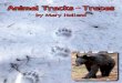 Animal Tracks and Traces - Arbordale Publishing · Science Trade Book). Mary’s book Naturally Curious: a Photographic Field Guide and Month-by-Month Journey Through the Fields,