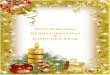 2016 Gift Brochure MERRY CHRISTMAS HAPPY …2016 Gift Brochure MERRY CHRISTMAS & HAPPY NEW YEAR Created By: Pamela Miller Garrett 2016 TimeWise Miracle Set - $95 Normal/Dry or Combination/Oily