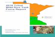 2018 Tribal Wild Rice Task Force Report5 EXECUTIVE SUMMARY This report, and the creation of a Minnesota Tribal Wild Rice Task Force, serves as a response to the 40th Governor of the
