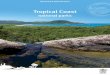 Tropical Coast national parks journey guideor ocean kayaking from one perfect beach to the next! Welcome to Tropical Coast parks Welcome to our national parks—part of which is my