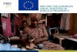 FMO AND THE EUROPEAN UNION: INVESTING IN AFRICA’S … · Innovative solutions and disruptive business models allow for “leapfrogging” in emerging markets Creating affordable