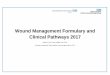 Wound Management Formulary and Clinical Pathways 2017 Wound... · Wound Management Formulary and Clinical Pathways 2017 ... prepare wound for VAC therapy refer to TV team for specialist
