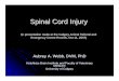 Spinal Cord Injury - University of Calgary Spinal...Spinal Cord Injury (A presentation made at the Calgary Animal Referral and Emergency Centre Rounds, Oct 11, 2007) Aubrey A. Webb,