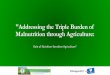 Addressing the Triple Burden of Malnutrition through ...dialogue2017.fanrpan.org/sites/default/files/Dyborn Chibonga.pdf · 2017 FANRPAN Regional Food and Nutrition Security Policy