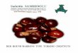 RED ROUND MARRONS TYPE TURKISH CHESTNUTS - … · HAZELNUTS, DRIED FRUITS & CHESTNUTS EXPORTTOTHEWHOLE WORLD Company founded by SadettinSamrıoğluin 1940, isone of old manufacturer