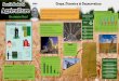 South Dakota 2016 Crops, Forestry & Conservation Agriculture · the common thread Crops, Forestry & Conservation Agriculture is a major contributor to South Dakota’s economy. Our