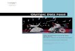 Olympic Data Feed · describes the differences between the Olympic Fencing Data Dictionary and the Wheelchair Fencing Data Dictionary. 1.2 Objective The objective of this document