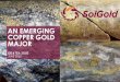AN EMERGING COPPER GOLD MAJOR - solgold.com.au · 63% of its entire Company wide portfolio. •Canadian based company, listed on the TSX and NYSE under the ticker FNV with a market