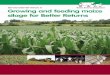 BEEF AND SHEEP BRP mANuAl 10 Growing and … › wp-content › uploads › 2016 › ...(BSPB) Forage Maize Descriptive List. Use locally proven varieties on 80% of the cropping area