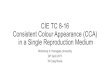 CIE TC 8-16 Consistent Colour Appearance in a Single ... · CIE TC 8-16 Consistent Colour Appearance (CCA) in a Single Reproduction Medium Workshop in Yamagata University 24th April