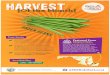 MDA: Farm to School Harvest of the Month - Green Beans · HARVEST {Of the Month} Fast Facts . The green bean plants originated from Peru, but can be found all around the world today