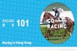 Racing 101 - Racing 101 17 Horse. Racing 101 18 Horse. Racing 101 19 Horse. Racing 101 20 Horse. Racing