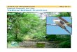 STATE OF WASHINGTON May 2017 Status Report for the Yellow ... · The draft status report for the Yellow-billed Cuckoo was reviewed by species experts and was available for ... background