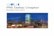 PMI Dallas Chapter · PMI Dallas Chapter Strategic Plan 2013 Page 4 of 19 1 Executive Summary The Project Management Institute (PMI) is the leading global organization for project