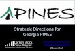 Strategic Directions for Georgia PINES · • Winter 2017 –2018 ILS Assessment (Quipu Group) • Winter/Spring 2018: Focus group and interviews –Non-PINES Libraries • Some mid-year