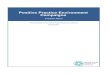 Positive Practice Environment Campaigns · Positive Practice Environment Campaigns Evaluation Report Alice Schmidt for the Global Health Workforce Alliance ... making better use of