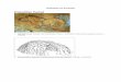 Prehistoric Art in Europe - Highlands School District › cms › lib › PA01000390 › ...Prehistoric Art in Europe Paleolithic Period 1. Wall with Horses, Cosquer Cave, Cap Morgiou,