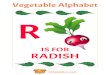 Vegetable Alphabet IS FOR RADISH 123kidsfun123kidsfun.com/.../123kidsfun_com_vegetable_alphabet_18.pdfVegetable Alphabet IS FOR RADISH 123kidsfun.com Created Date 4/5/2018 2:17:44