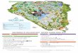 Volcano Bay Map - The Mouse For Less...UNIVERSAL’S VOLCANO BAY ™ WATER THEME PARK MAP River Village M Krakatau™ Aqua Coaster 42"/107 cm 700 lbs 317 kg N Runamukka Reef™ O